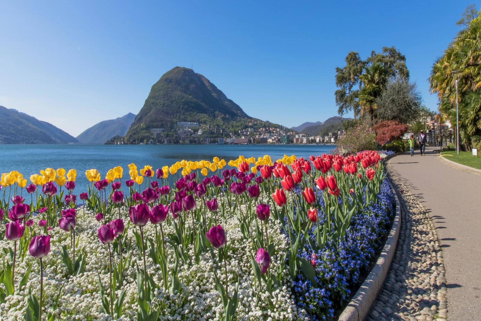 Love Of Lugano - Happy Rentals Ngoại thất bức ảnh